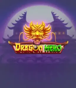 Embark on a fantastic quest with Dragon Hero Slot by Pragmatic Play, highlighting vivid graphics of ancient dragons and heroic battles. Explore a realm where legend meets thrill, with featuring enchanted weapons, mystical creatures, and treasures for a captivating gaming experience.